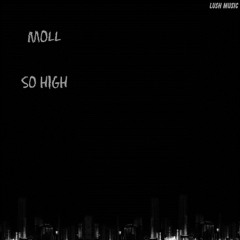 Moll - So High (Original Mix)