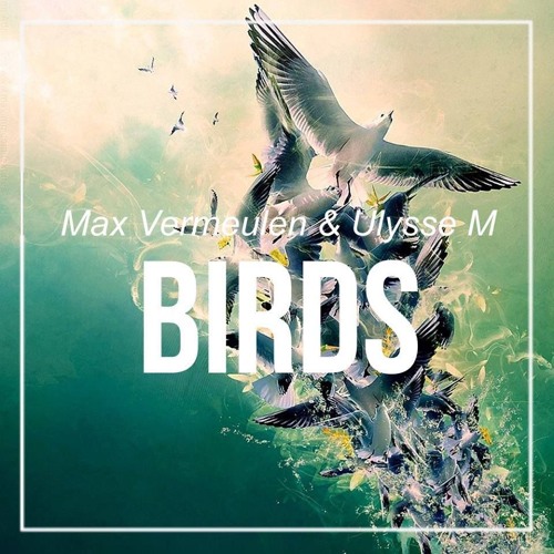 Max Vermeulen & Ulysee M - Birds (Original Mix)