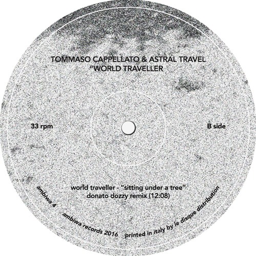 World Traveller  (Sitting Under A Tree Donato Dozzy Remix)