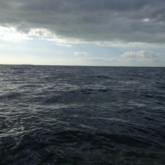 "Strange Fish" - Petra de Winter & Friends