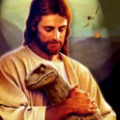 francesco potti & der witwentröster - grüße gehen raus