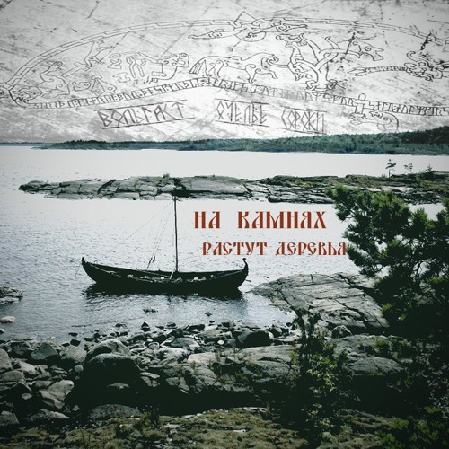 Викинги