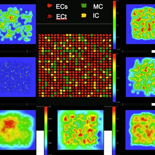 Computer Modelling Tox Stream episode Using Computing to Advance Toxicology by Sigma Xi ...