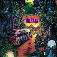 Mr.raja - LIVE SET 25/05/2016