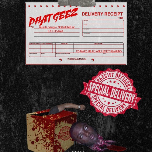 Special Delivery(Murda Who?) - Phat Geez