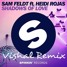 Shadows Of Love (ft. Heidi Rojas) [VISHAL REMIX]