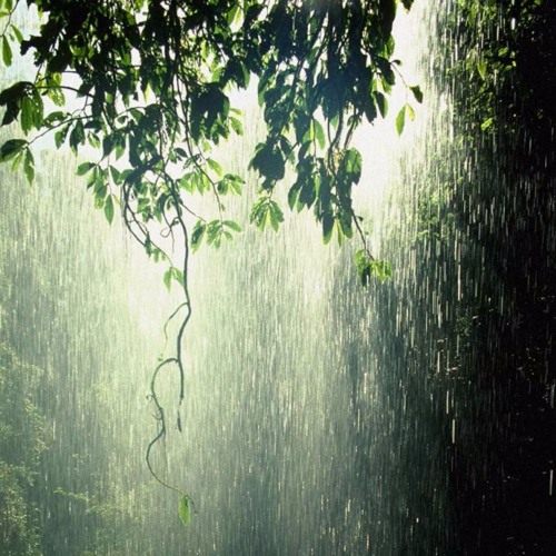 Bristi - Sabbir feat. Akash