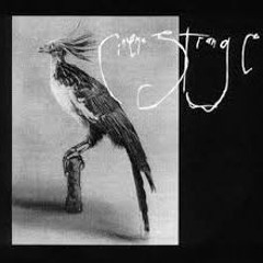 Cinema Strange ~ Greensward Grey
