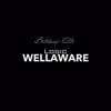 Logic - Wellaware (Unreleased Song) (Original Uploader)