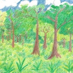 Guaraci e Jaci  (demo version)