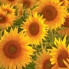 cinnamon ft LAMAR STYLES (prod. by KiN)