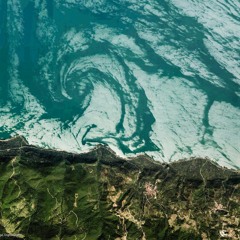 Tarry a Day (STBB #481)