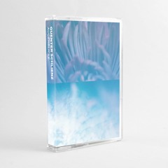 Guenter Schlienz - Wind On Water