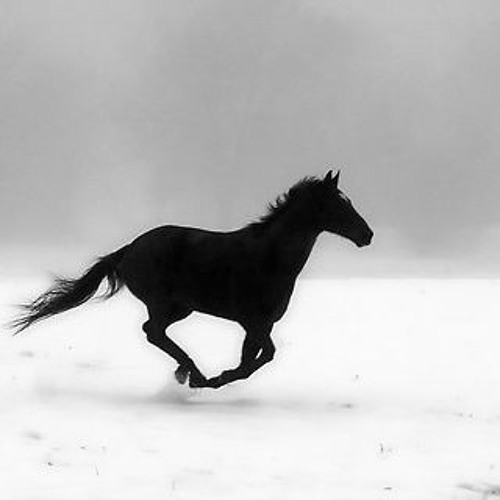 Tears Of Thunder Spirit - By Koan
