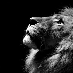 Sher Marna - Ranjit Bawa