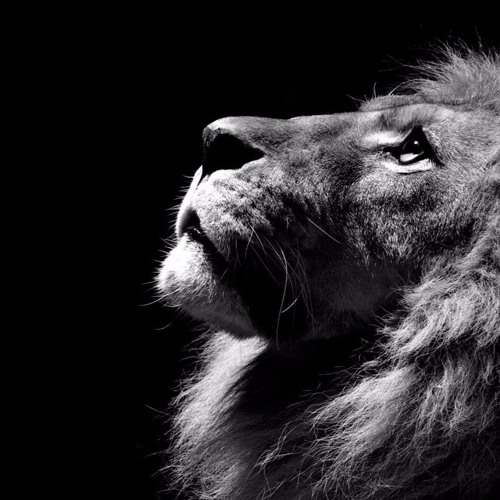 Sher Marna - Ranjit Bawa