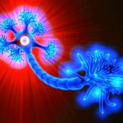 Neuron Stretch