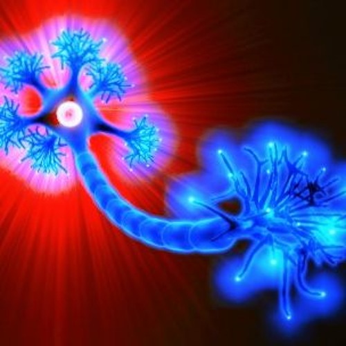 Neuron Stretch