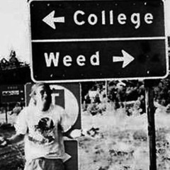 Natural Mystic - New Trip Set