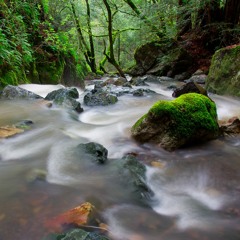 Sugarloaf in 2004