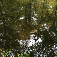 Passing Through (Leonard Cohen cover) Live at The Alchemy Castle