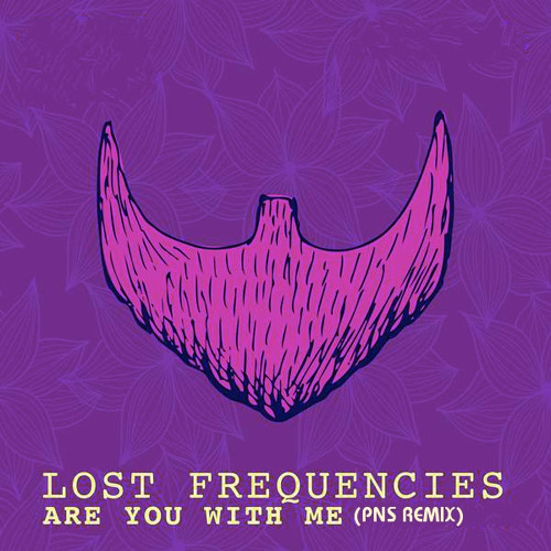 Lost frequencies head