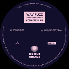 PREMIERE: Wav Fuzz - Cold Fresh Air [Les Yeux Orange]