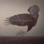 Artwork for Katatonia - Decima (from the album The Fall Of Hearts)