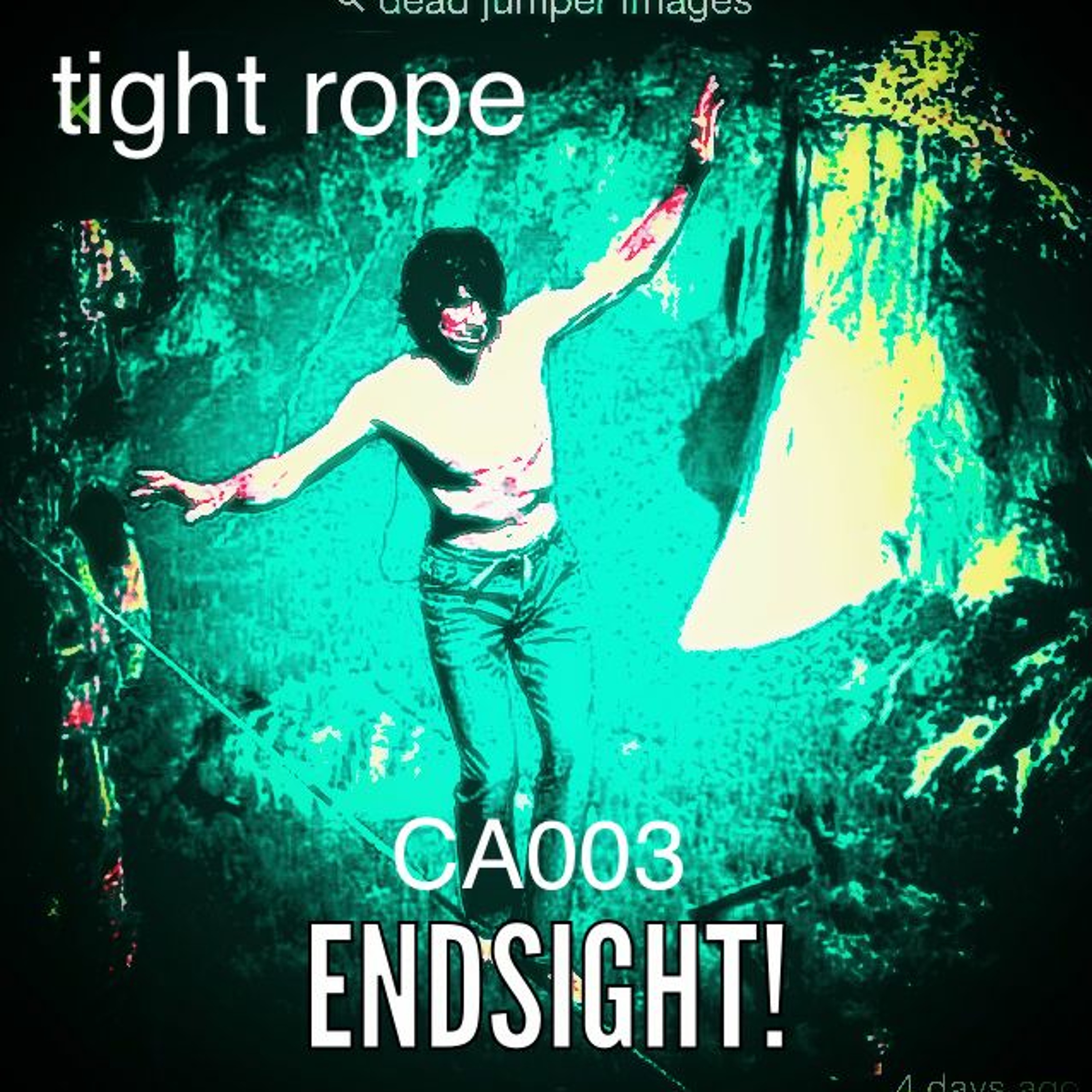 ENDSIGHT! / AY