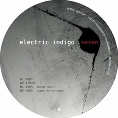 electric indigo - sept_hagen richter remix(B2)