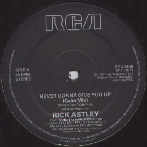 N e v e r G o n n a G i v e Y o u U p (Extended Pied Piper Hard 12 Inch Remix)
