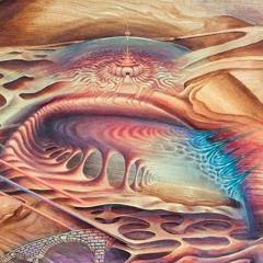 Trogon - Our Place In The Dirt (OUT NOW ON OUR MINDS MUSIC)