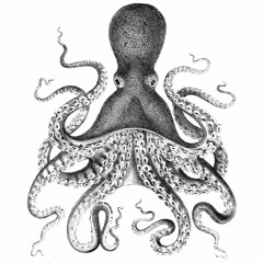 octode 2k16 test