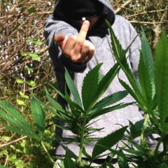 Huren&Söhne _Kruzifix