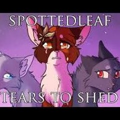 Tear to shed