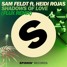 Shadows Of Love (ft. Heidi Rojas) (FLUX Remix)