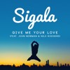 Give Me Your Love ft. John Newman & Nile Rodgers