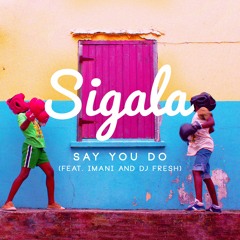 Say You Do (Blinkie vs. Sigala Remix) feat. Imani & DJ Fresh