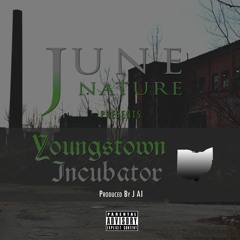 Youngstown Incubator