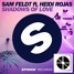 Shadows Of Love (ft. Heidi Rojas) (HNNNG Remix)