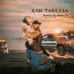 RAW TARRAXA (DMX Remix) • Gary J.