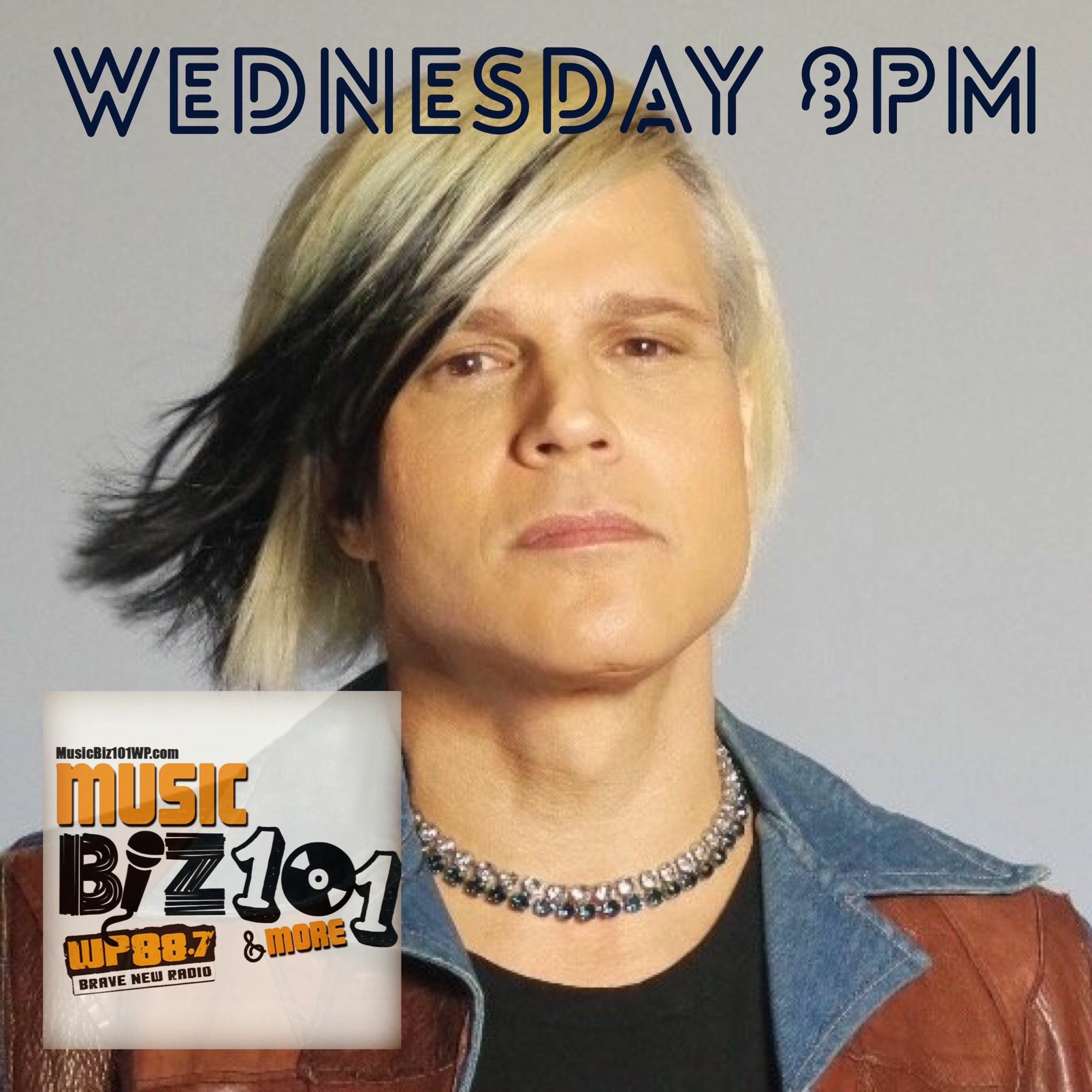 The Music Biz 101 & More Podcast