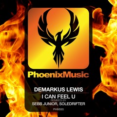 Demarkus Lewis - I Can Feel U (Sebb Junior Remix) [Phoenix Music]