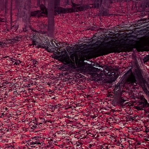 FlaTeK - Jesus oida (210 bpm)