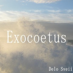 Delo Sveii - Exocoetus