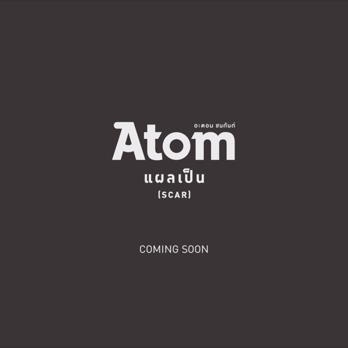 แผลเป็น(SCAR) - Atom ชนกันต์ (Cover)