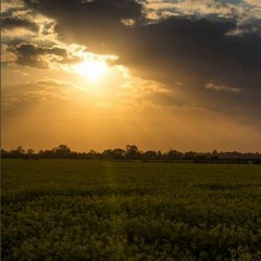 MIA - Sunshowers (Remix)