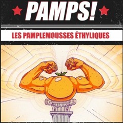 Sous la Praire - fresh from our latest recording, PAMPS!