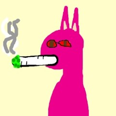 MIKO - PANK PINTHER