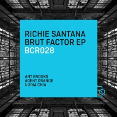 Richie Santana - Make Noise (Agent Orange Remix)